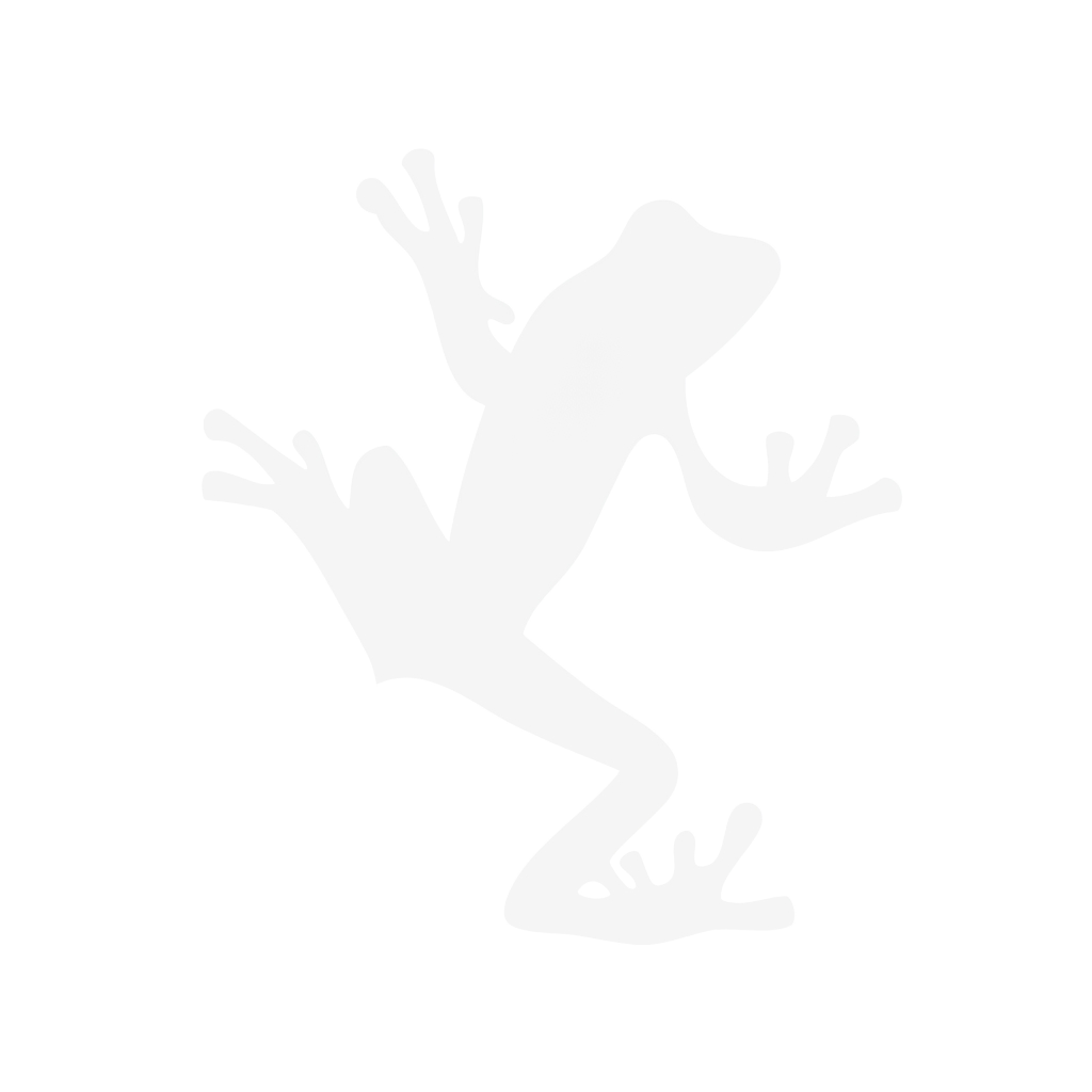 Screaming Frog